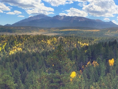 Pikes Peak Paradise Bed and Breakfast image 42